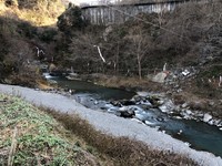 秩父フライフィールド 釣果