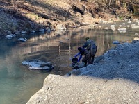 秩父フライフィールド 釣果