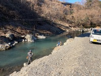 秩父フライフィールド 釣果
