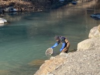 秩父フライフィールド 釣果