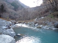 秩父フライフィールド 釣果