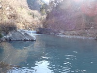 秩父フライフィールド 釣果