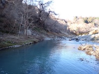 秩父フライフィールド 釣果
