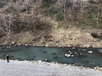 秩父フライフィールド 釣果