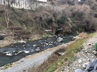 秩父フライフィールド 釣果