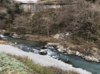 秩父フライフィールド 釣果