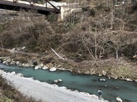 秩父フライフィールド 釣果