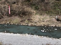 秩父フライフィールド 釣果