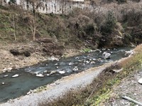 秩父フライフィールド 釣果