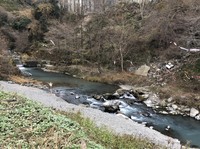 秩父フライフィールド 釣果