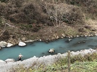 秩父フライフィールド 釣果