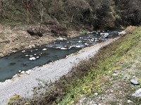 秩父フライフィールド 釣果