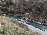 秩父フライフィールド 釣果