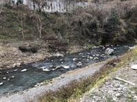 秩父フライフィールド 釣果