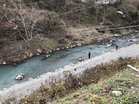 秩父フライフィールド 釣果