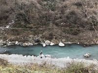 秩父フライフィールド 釣果