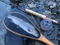 秩父フライフィールド 釣果