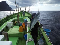 なごみ船 釣果