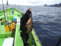 なごみ船 釣果