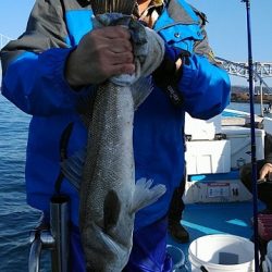 フィッシングガイド りょう 釣果