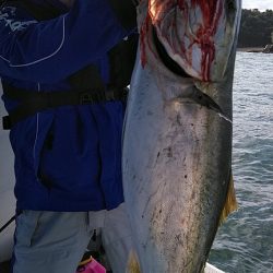 フィッシングガイド りょう 釣果