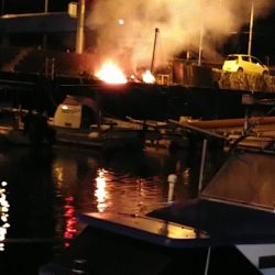 フィッシングガイド りょう 釣果