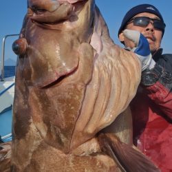 海晴丸 釣果
