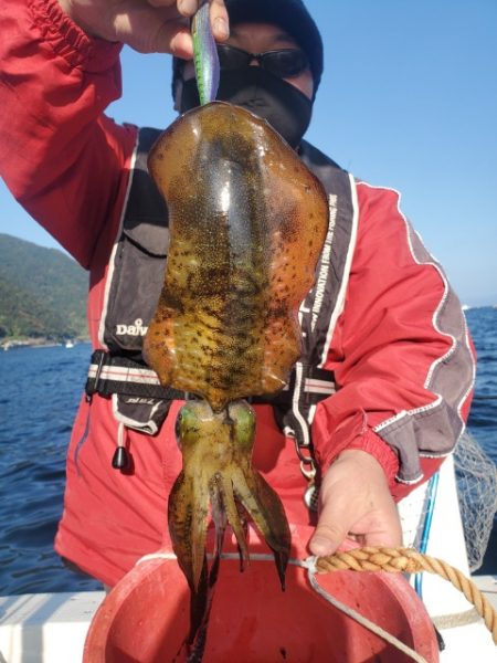 海晴丸 釣果