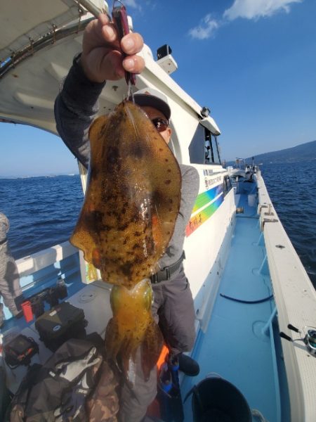 海晴丸 釣果