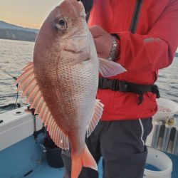 海晴丸 釣果