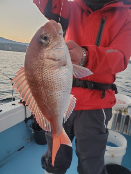 海晴丸 釣果