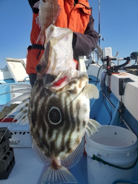海晴丸 釣果
