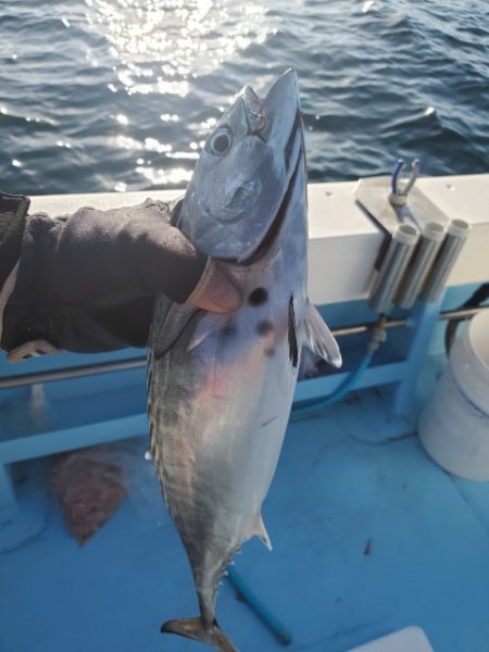 海晴丸 釣果