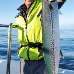 LUSTER『ラスター』 釣果