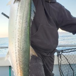 LUSTER『ラスター』 釣果