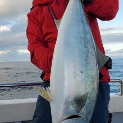 LUSTER『ラスター』 釣果