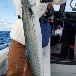 LUSTER『ラスター』 釣果