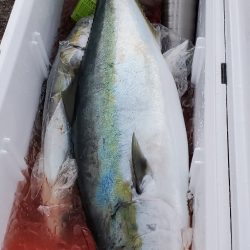 LUSTER『ラスター』 釣果