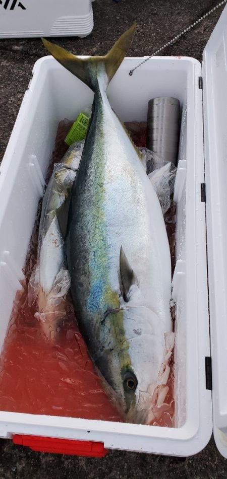 LUSTER『ラスター』 釣果