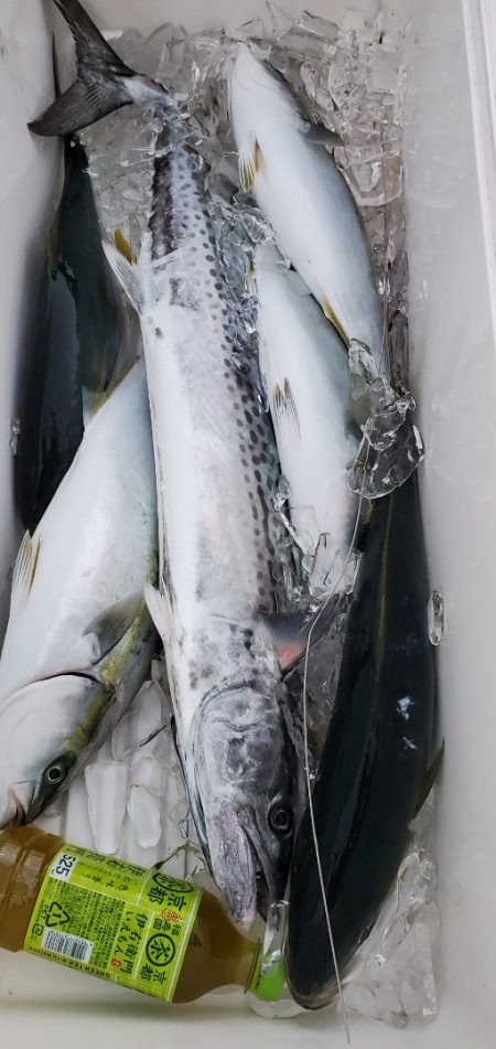 LUSTER『ラスター』 釣果