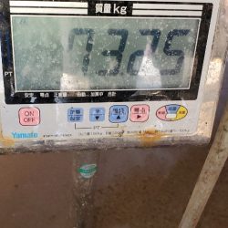 LUSTER『ラスター』 釣果