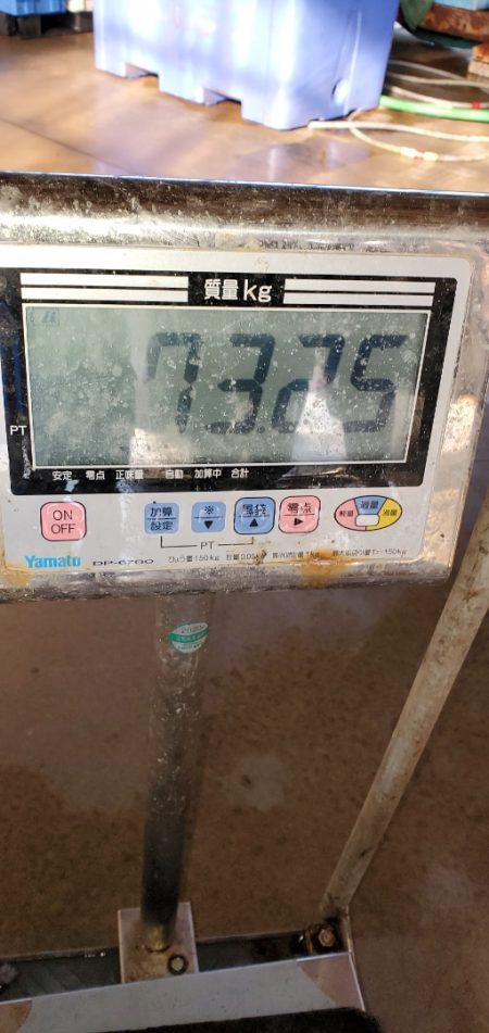 LUSTER『ラスター』 釣果