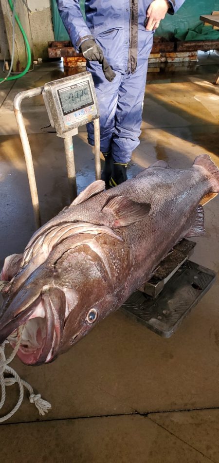 LUSTER『ラスター』 釣果