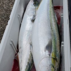 LUSTER『ラスター』 釣果