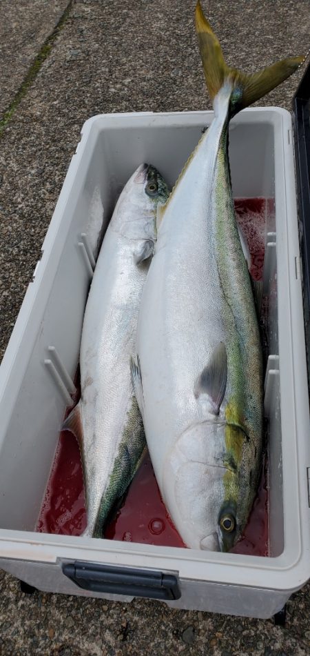 LUSTER『ラスター』 釣果