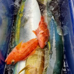 LUSTER『ラスター』 釣果