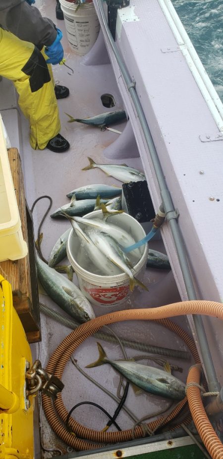 海龍丸（石川） 釣果