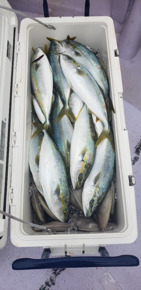 海龍丸（石川） 釣果