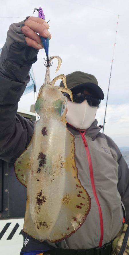 シースナイパー海龍 釣果