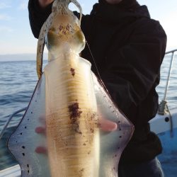 シースナイパー海龍 釣果